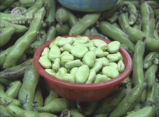 武進(jìn)新聞