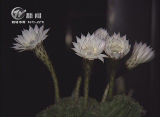 武進(jìn)新聞