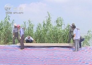 武進(jìn)新聞