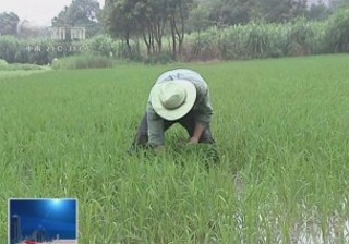 武進(jìn)新聞