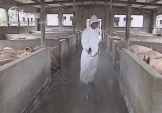 武進(jìn)新聞