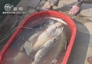 武進(jìn)新聞