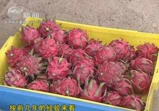 武進(jìn)新聞