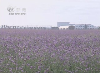 武進(jìn)新聞