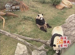 武進新聞
