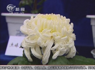 武進(jìn)新聞
