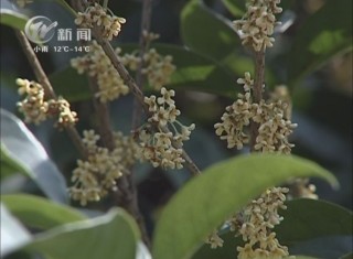武進(jìn)新聞
