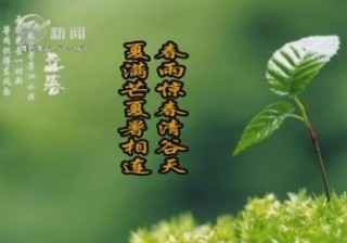 武進(jìn)新聞