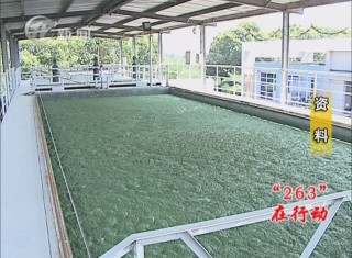 武進(jìn)新聞