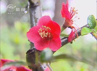 武進(jìn)新聞