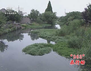 武進新聞