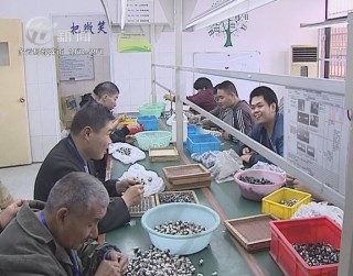 武進新聞