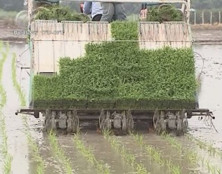 武進(jìn)新聞