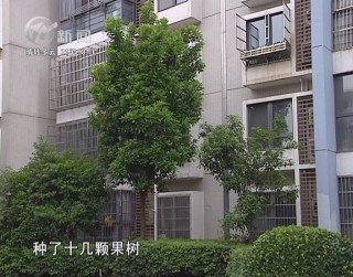 武進(jìn)新聞