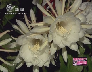 武進(jìn)新聞