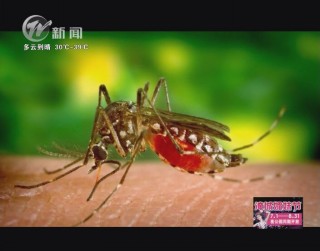 武進(jìn)新聞