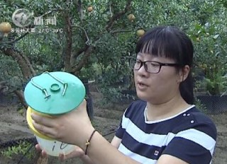 武進(jìn)新聞