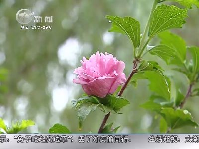 武進(jìn)新聞