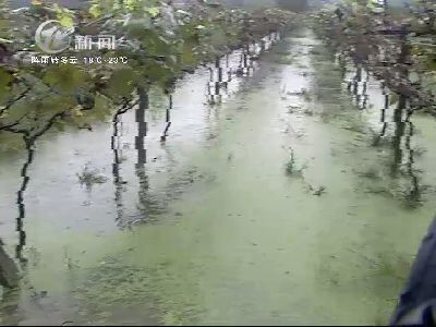 武進新聞