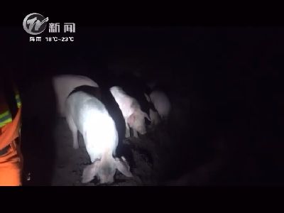武進新聞