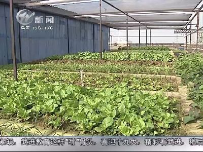 武進新聞