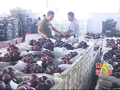 武進(jìn)新聞