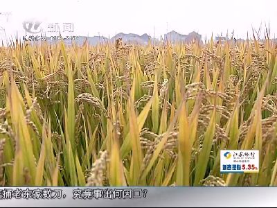 武進(jìn)新聞