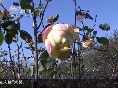 武進(jìn)新聞
