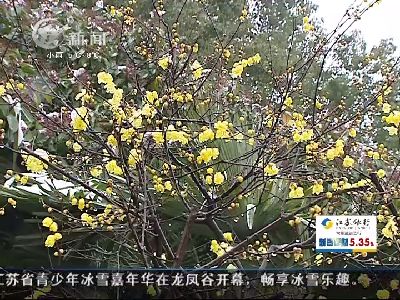 武進新聞