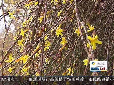 武進新聞