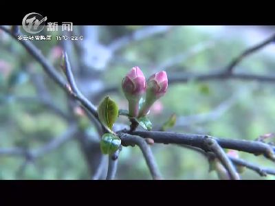 武進(jìn)新聞