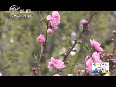 武進新聞