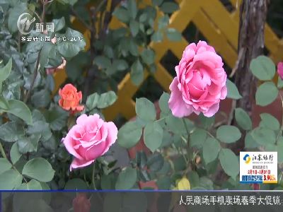 武進(jìn)新聞