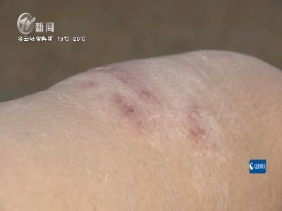 武進新聞