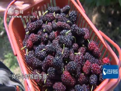 武進新聞