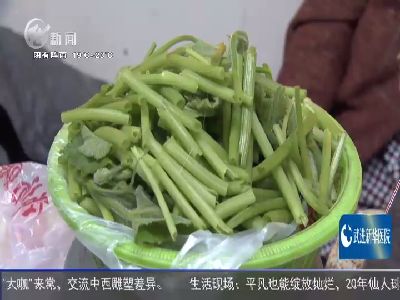 武進(jìn)新聞