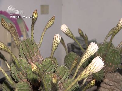武進(jìn)新聞