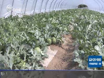 武進(jìn)新聞
