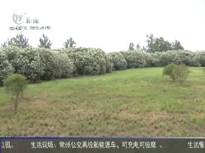 武進新聞
