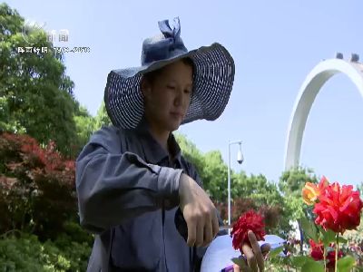 武進新聞