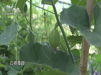 武進(jìn)新聞