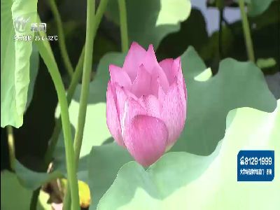 武進(jìn)新聞