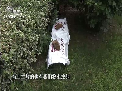 武進(jìn)新聞