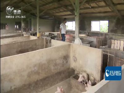 武進新聞