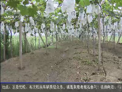 武進新聞