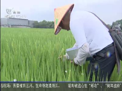 武進新聞