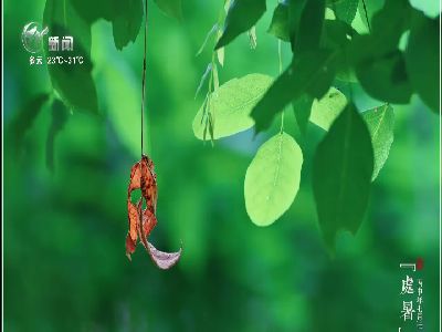 武進新聞