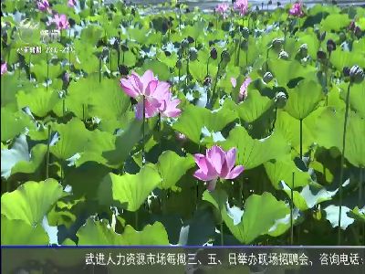 武進(jìn)新聞