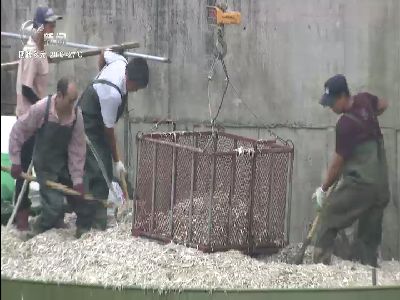 武進(jìn)新聞