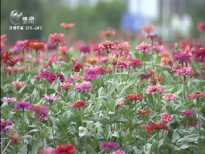 武進新聞